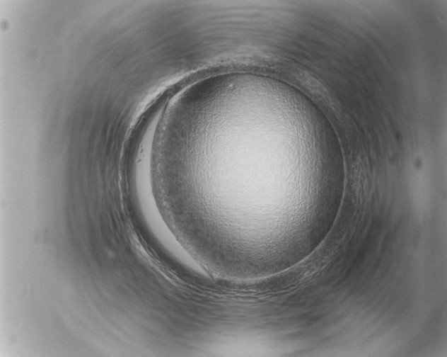 X0000052600680200507292123