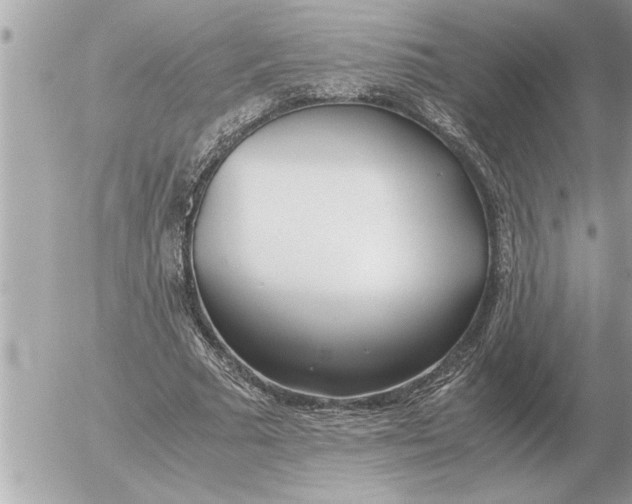 X0000052600681200507292123