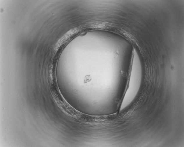 X0000052600682200507292123