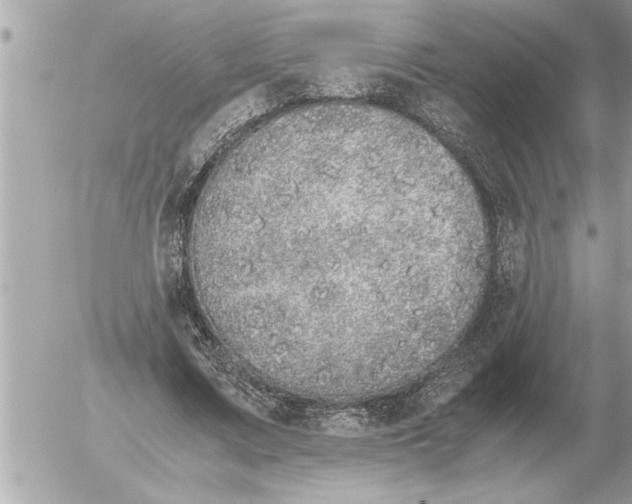 X0000052600683200507292123