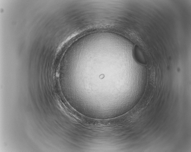 X0000052600684200507292123