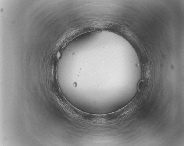 X0000052600685200507292123