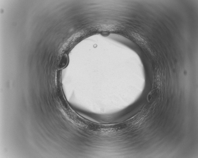 X0000052600686200507292123