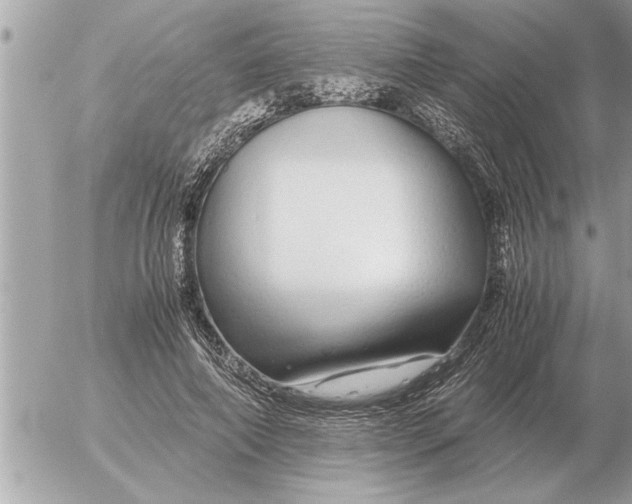 X0000052600690200507292123