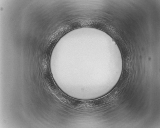 X0000052600691200507292123