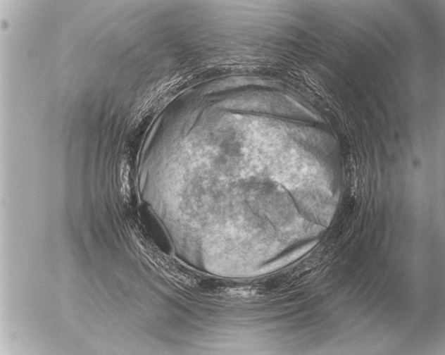 X0000052600692200507292123