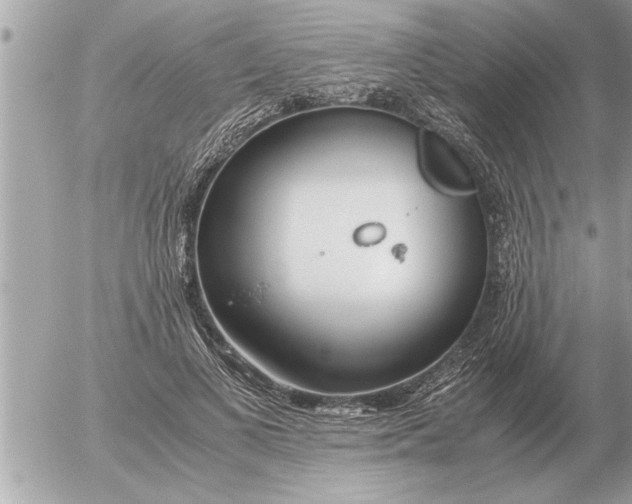 X0000052600693200507292123