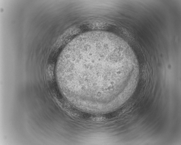 X0000052600695200507292123