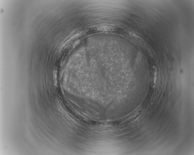 X0000052600696200507292123