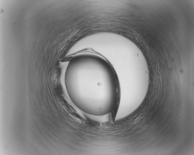 X0000052600697200507292123