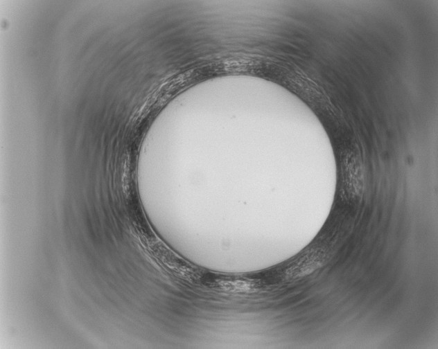 X0000052600698200507292123