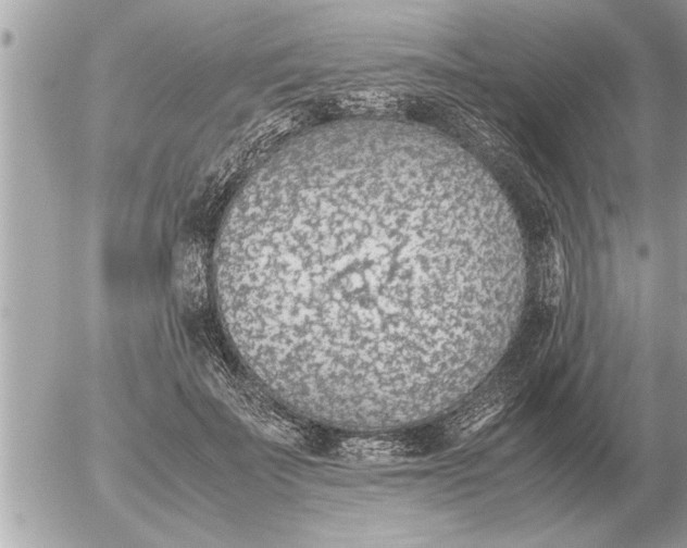 X0000052600699200507292123