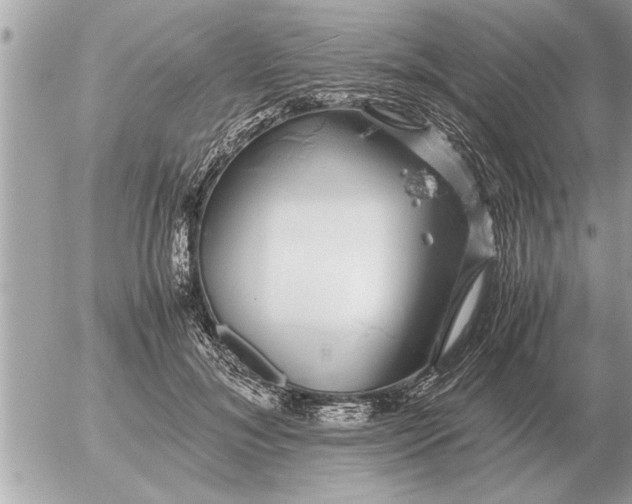 X0000052600700200507292123