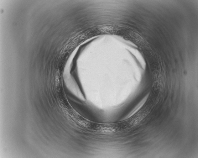 X0000052600702200507292123