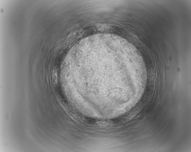 X0000052600703200507292123