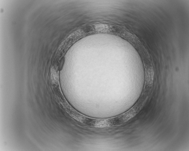 X0000052600705200507292123