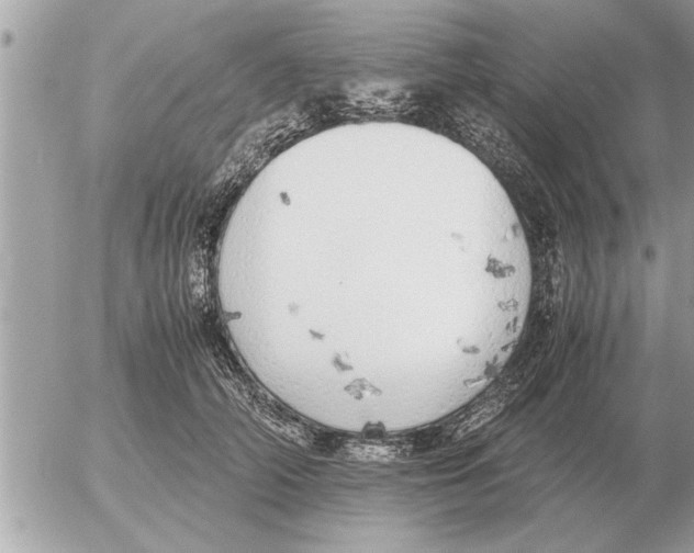 X0000052600706200507292123