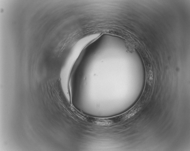 X0000052600707200507292123