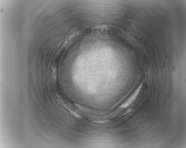 X0000052600708200507292123