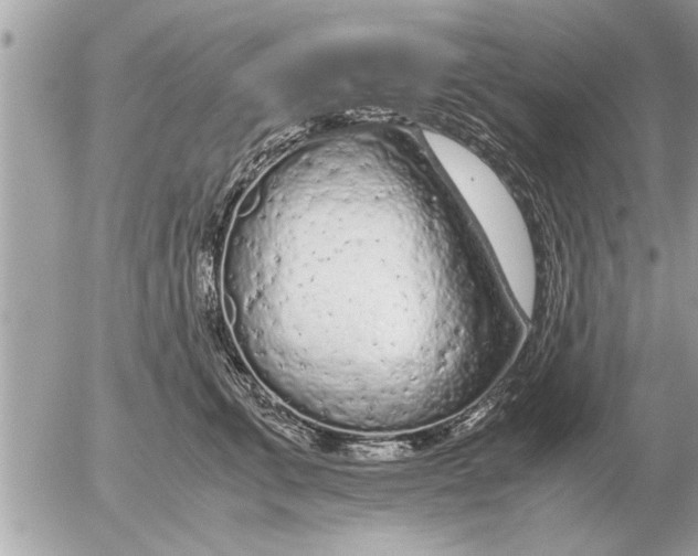 X0000052600711200507292123