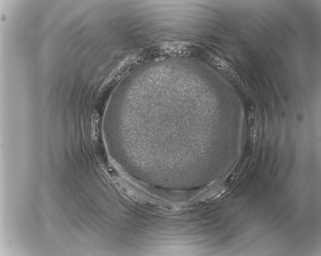 X0000052600712200507292123