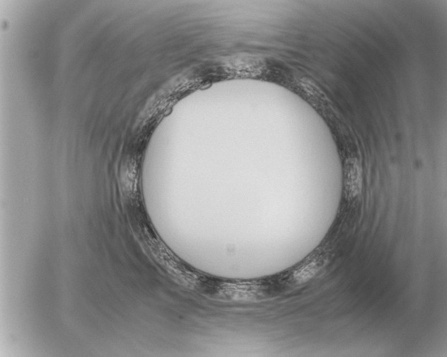 X0000052600713200507292123