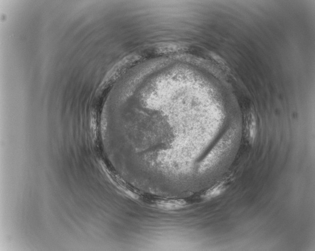 X0000052600716200507292123