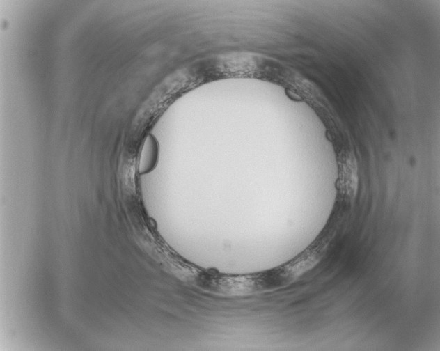 X0000052600717200507292123