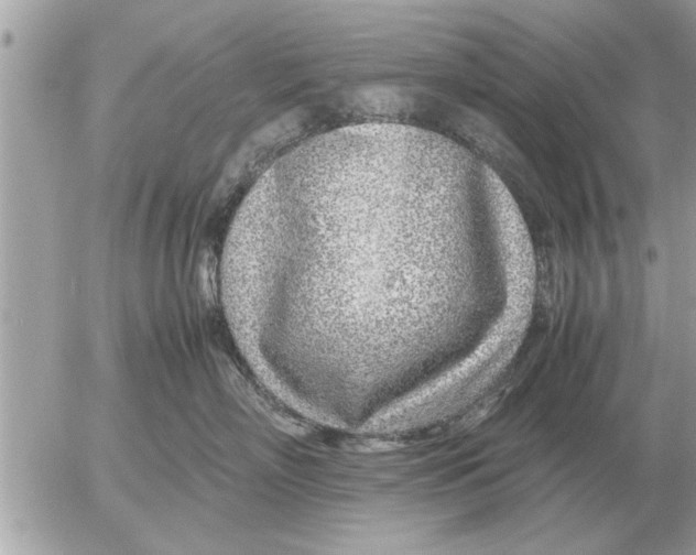 X0000052600718200507292123