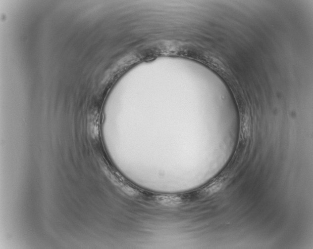 X0000052600719200507292123