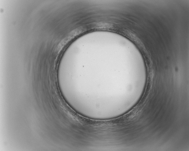 X0000052600721200507292122