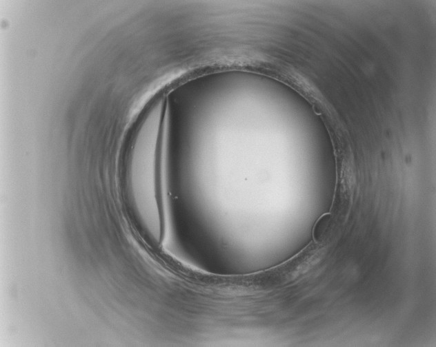 X0000052600722200507292122