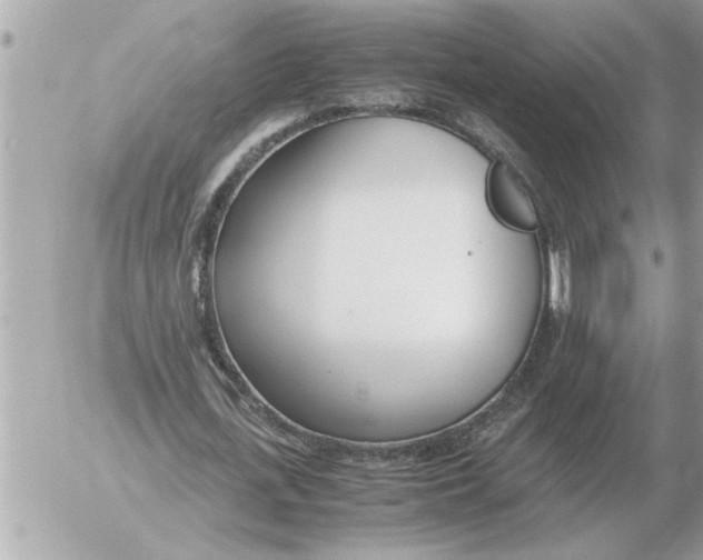 X0000052600723200507292122