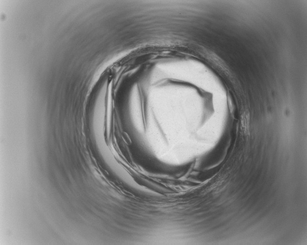 X0000052600724200507292122