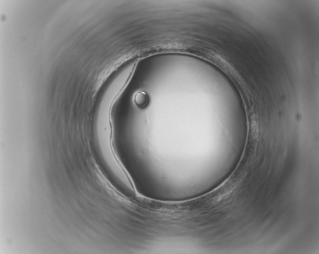 X0000052600725200507292122