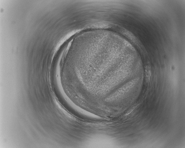 X0000052600726200507292122