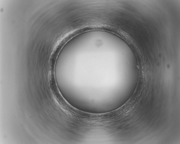 X0000052600728200507292122