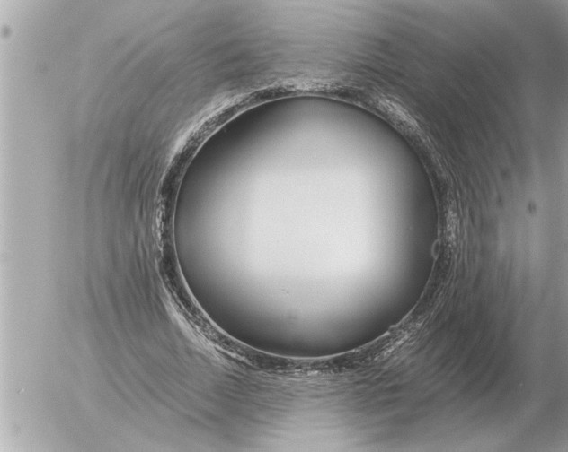 X0000052600730200507292122