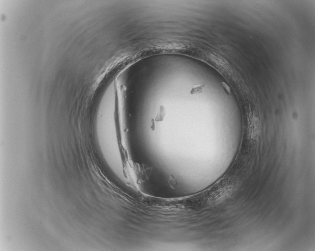 X0000052600731200507292122