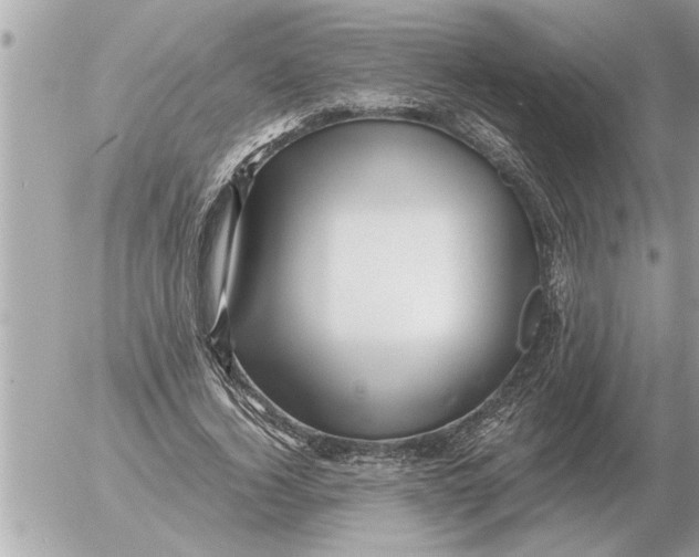 X0000052600732200507292122