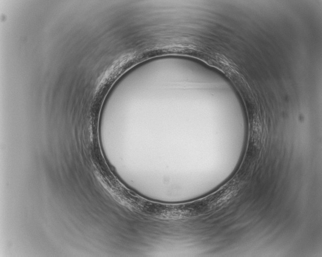 X0000052600734200507292122