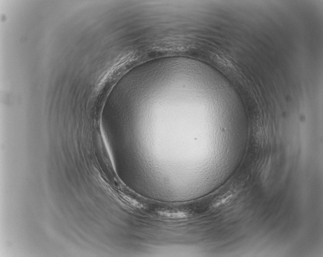 X0000052600735200507292122