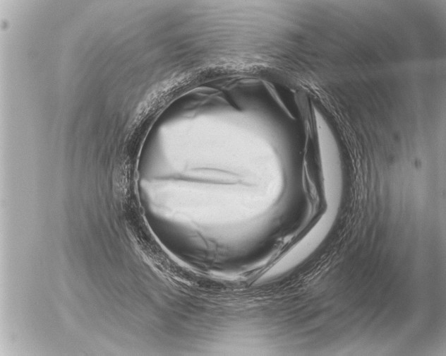 X0000052600736200507292122