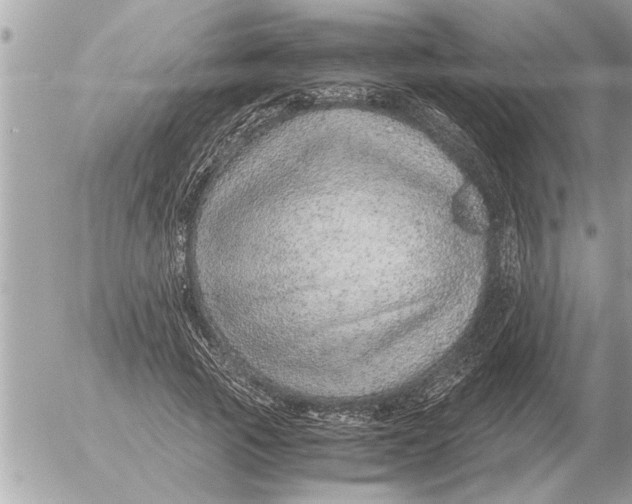 X0000052600737200507292122