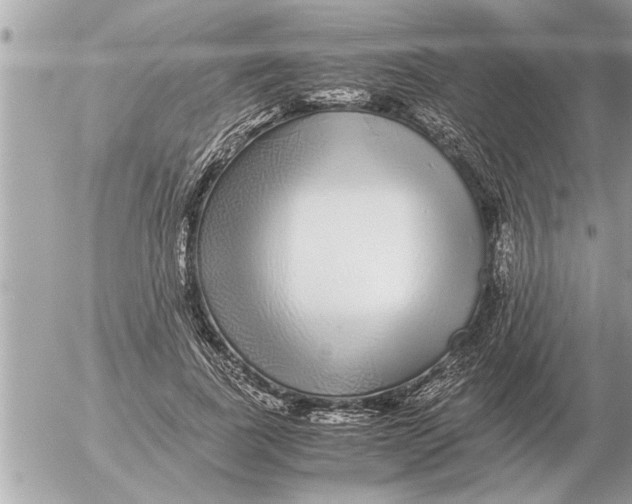 X0000052600739200507292122