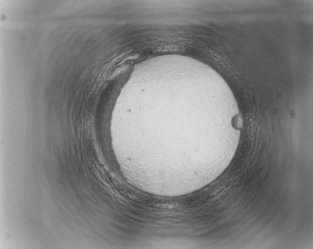 X0000052600741200507292122