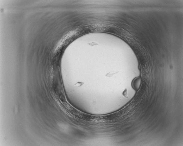 X0000052600742200507292122