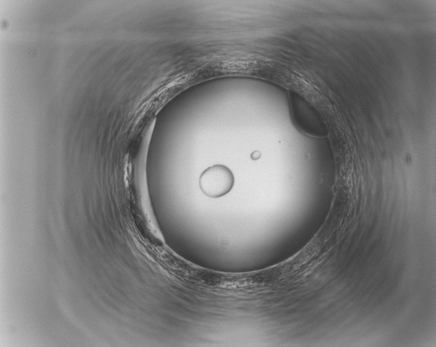 X0000052600744200507292122