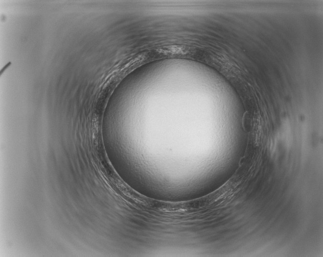 X0000052600747200507292122