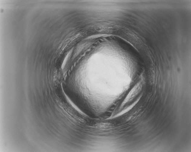 X0000052600748200507292122